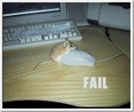 fail-mouse[2].jpg
