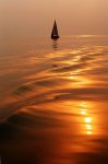 PHOTO SAIL BOAT ON GOLDEN WATER.jpg