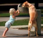 photo baby helping dog drink.jpg