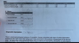 IMG_5144.jpeg
