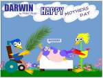 Darwin Mothersday.JPG