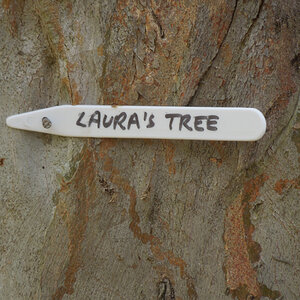 Laura-FionaeTreeLabel.jpg