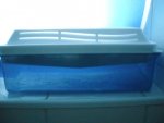DSCN0306.jpg