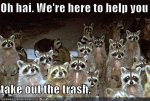 funny-pictures-raccoons-are-here-to-help-you.jpg