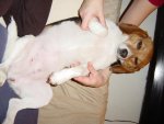 DSC02013.jpg