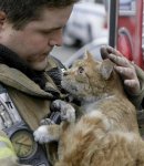 Happiness is helping someone who needs you  -cat-with-fireman-saved-him.jpg