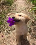 Happiness is making someone feel special.jpg