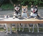Happiness is having a special family.jpg