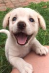 Happiness is just being you.jpg