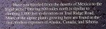 Trail_Ridge_Road_sign 2.3 miles above sea level.jpg