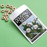 april fool Doughnut-seeds.jpg