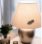 apr Bug-in-the-lamp1.jpg
