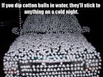 april Car-Cover-With-Cotton-Balls-April-Fools-Day-Prank.jpg
