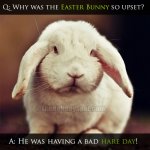 ep1 easter.jpg