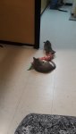 20190710_111334.jpg