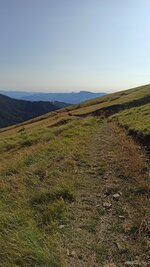 IMG_20210808_182107.jpg