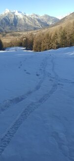 IMG_20220222_164303.jpg