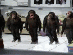 monkeydance.gif