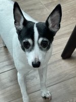 IMG_0500.jpeg