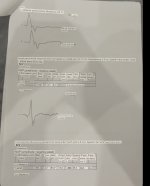 IMG_5463.jpeg