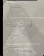 IMG_5464.jpeg