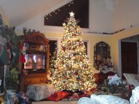 tree 002.JPG