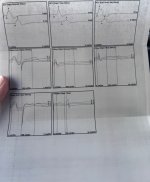 IMG_3105.jpeg