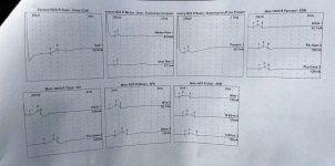 IMG_0736.jpeg