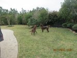 IMG_0882.jpg