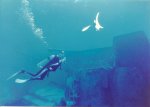 Scuba Diving off Cayman.jpg