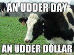 cow 4.jpg