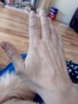 IMG_20181227_094208.jpg