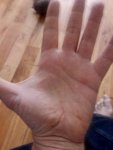 IMG_20181227_134731.jpg
