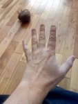 IMG_20181227_135052.jpg