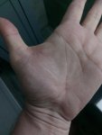 IMG_20181228_005639.jpg