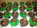 gday 20 cupcakes.jpg