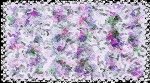 Violets In The Garden - Photograph-all rights reserved.jpg