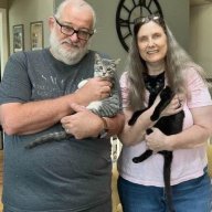Momto2Kitties