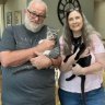 Momto2Kitties