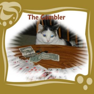 Precious "The Gambler" She can beat me!