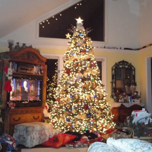 tree 002.JPG