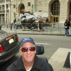 The bull is not on Wall Street (finding him was an adventure!)