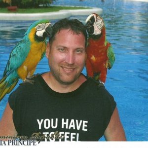 Them parrots be eatin my hair.