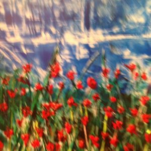 painting - made into thank you cards for my gal pals
" you are a flower in my garden"
(Encaustic on 120lb glossy card stock)
Out of focus...
