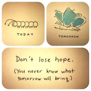 I imagine that the caterpillar is perfectly happy being a caterpillar.  No one asks her if she wants to completely transform from a land-dweller into 