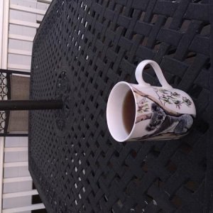 Tea on the deck