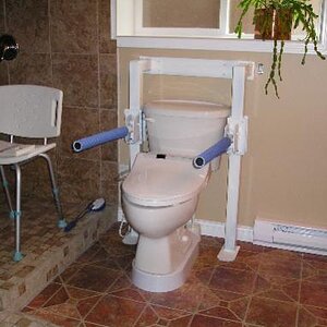 09 10-23  Toilet arms  Small.jpg