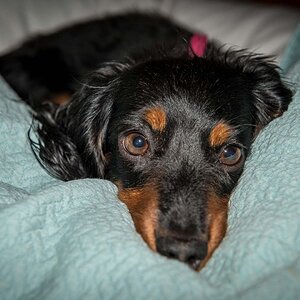 DSC_7140.jpg
